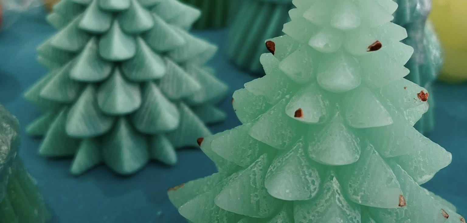 Χριστουγεννιάτικη Εκδήλωση Σικιαριδείου Ιδρύματος 2025